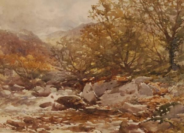 Highland Stream - view 1