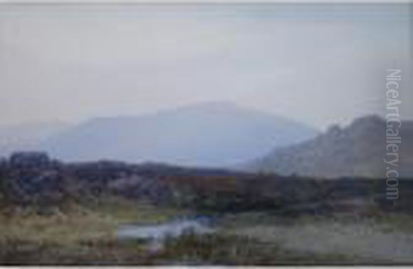 A Pool In The Hills - view 1