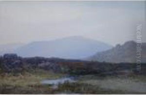 A Pool In The Hills