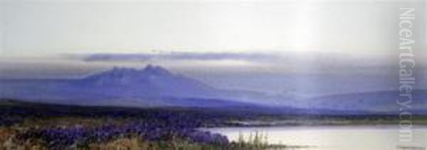 Moorland Scene - view 1