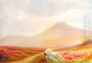 Dartmoor Scene