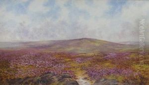 Heather On Dartmoor