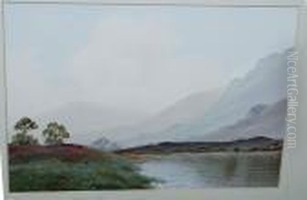 Lakeland Scene - view 1