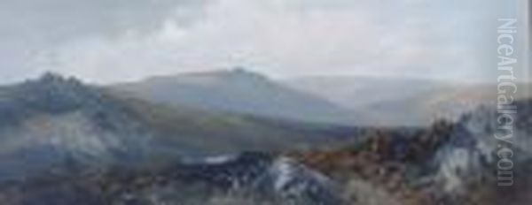 A Moorland Landscape With Gulls - view 1