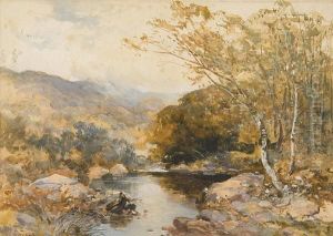 The River Lyd, Dartmoor