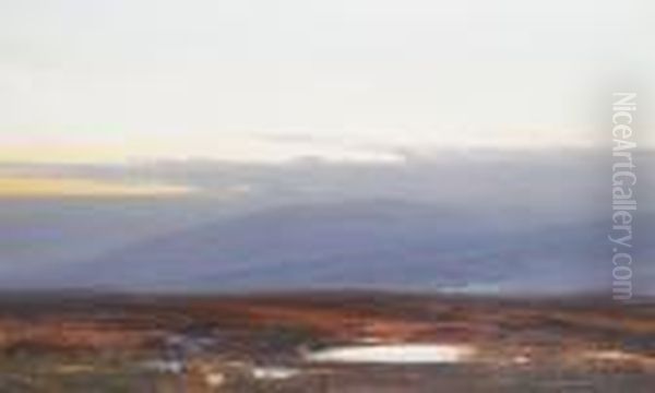 Belstone Moors, Dartmoor - view 1