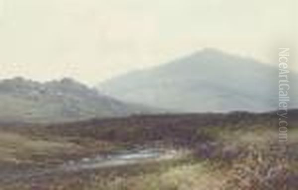 A Moorland Landscape - view 1