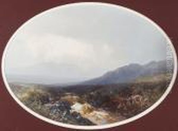 Dartmoor - view 1