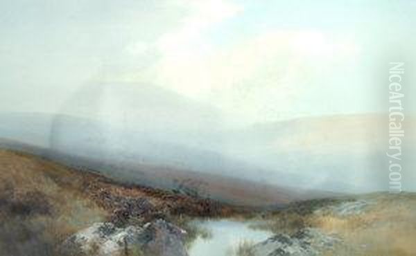 High Willhayes, Dartmoor - view 1