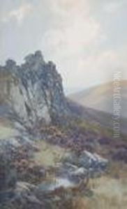 The Moors Near Shaugh Bridge, Dartmoor