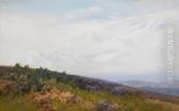 Slopes Of Dunkery Exmoor - view 1