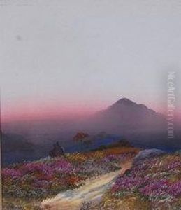 Dartmoor Scene