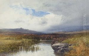 A Moorland Pool Near Lydford Dartmoor