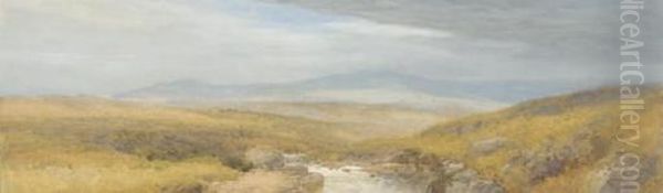 Dartmoor, Early Evening - view 1