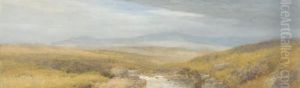 Dartmoor, Early Evening