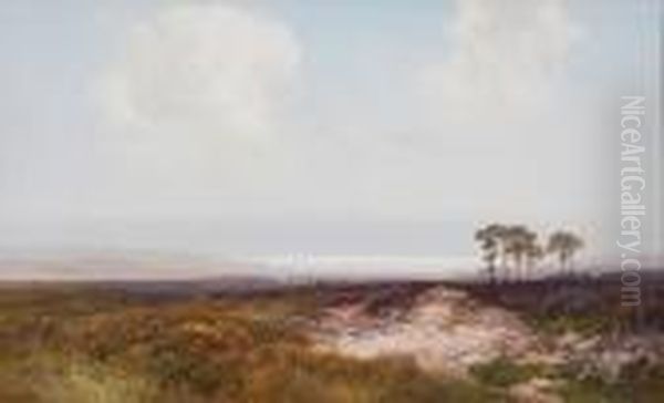 Moorland Scene - view 1