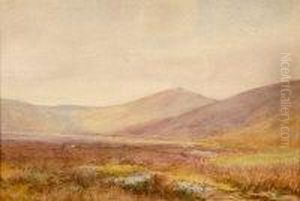 Dartmoor Scene