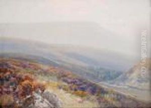 Country View