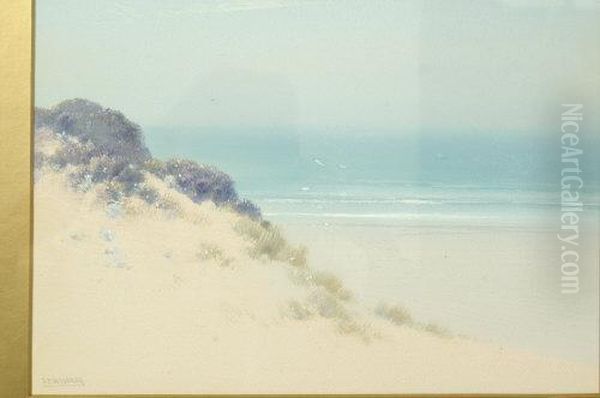 Coastal Scene, With Dunes And Gulls - view 1