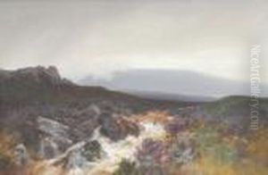 On The Okement, Dartmoor