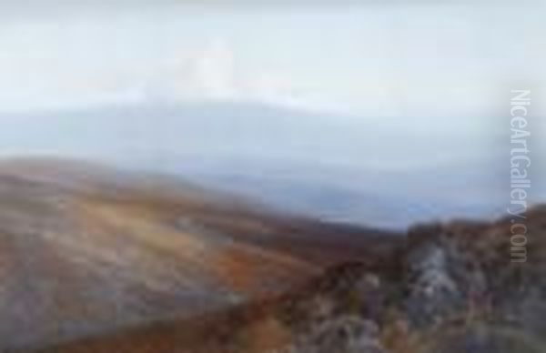 Cawsand Beacon, Dartmoor - view 1
