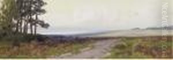 On Woodbury Common, Devon - view 1