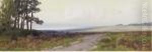 On Woodbury Common, Devon