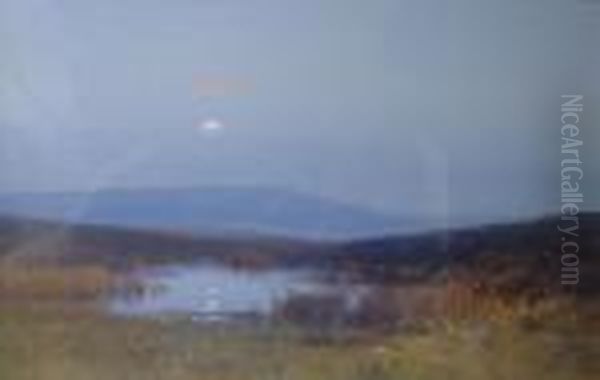 Moonriseover Moorland - view 1