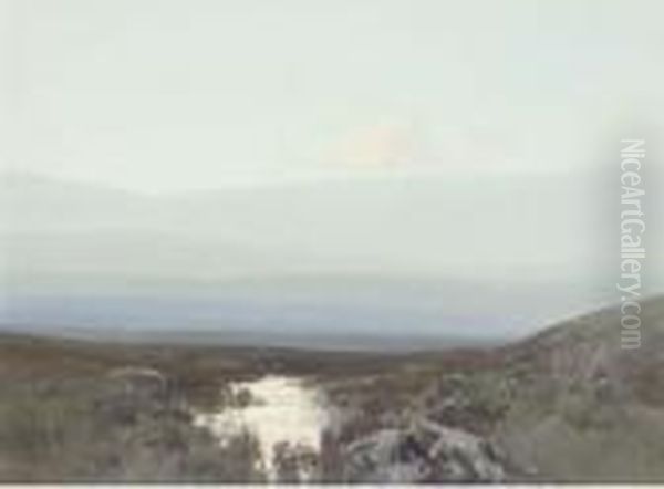 A Hazy Day On The Moor - view 1