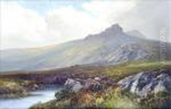 Haytor,dartmoor, Devon - view 1