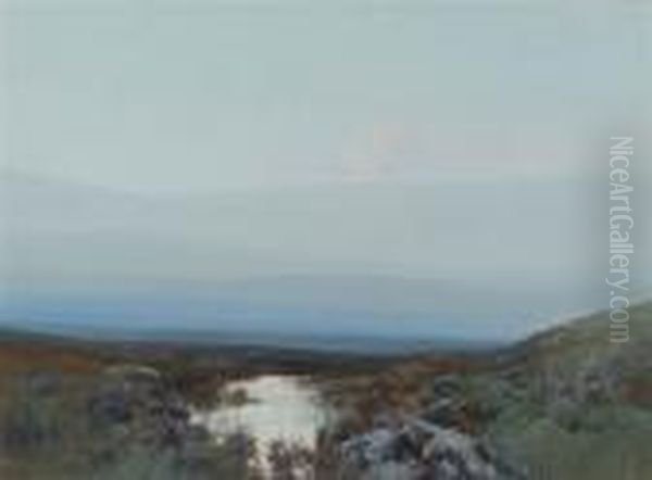 A Moorland Stream - view 1
