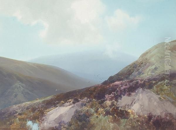 Yes Tor, Dartmoor - view 1