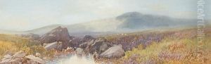 Dartmoor, Near Tavy Cleave