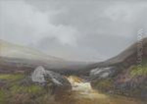 A Dartmoorstream
