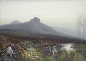 Earlymorning Mist, A Moorland Pool