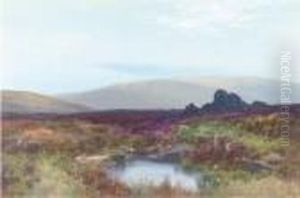 The Moors Near Teign Head, Dartmoor