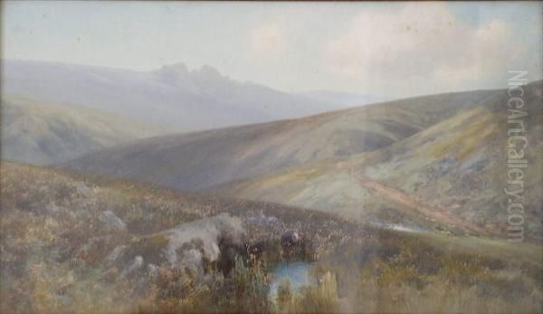 Dartmoorscene With Sheep - view 1