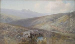 Dartmoorscene With Sheep
