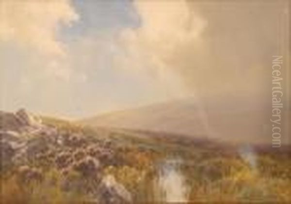 Moorlandscene - view 1