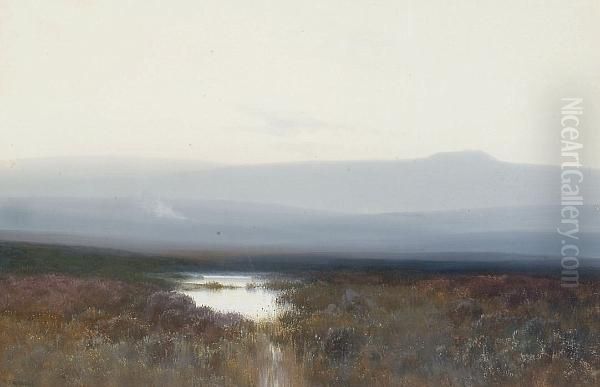 Kes Tor, Near Chagford - view 1