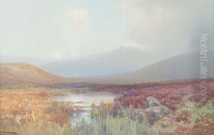 East Mill Tor, Near Okehampton, Devon