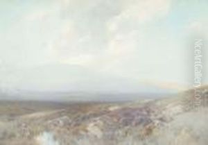 East Mill Tor, Dartmoor