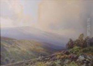 Exmoorview