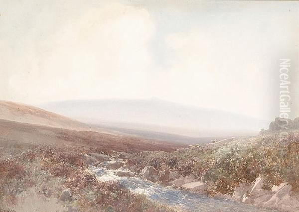 Moorland Landscape - view 1