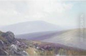 Nr Hey Tor, Darmoor