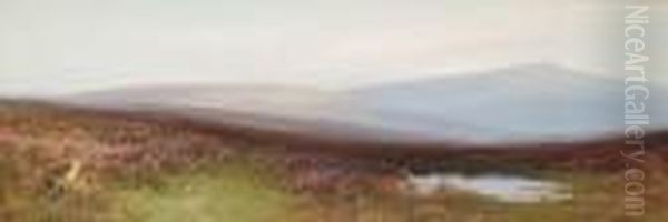 Dunkery Beacon, Exmoor - view 1