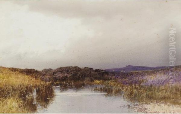 River Landscape - view 1