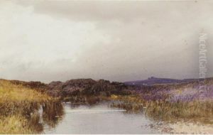 River Landscape River Landscape