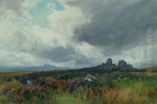 Near Belston Tors, Dartmoor - view 1