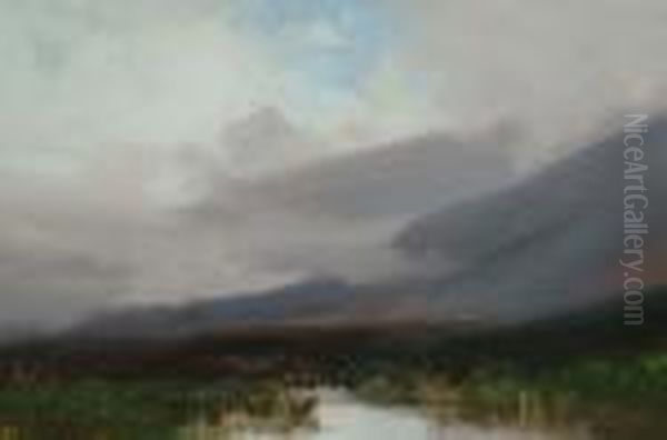 Source Of The Dart, Dartmoor - view 1